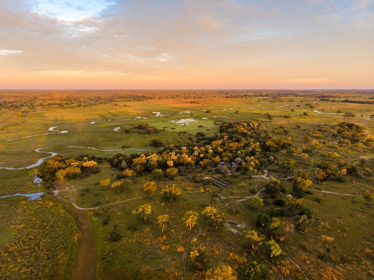 Camp Okavango aerial view
