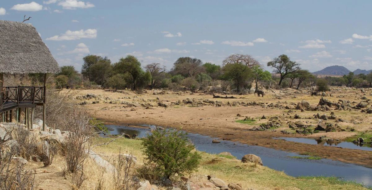 Ruaha River Lodge river and elephants