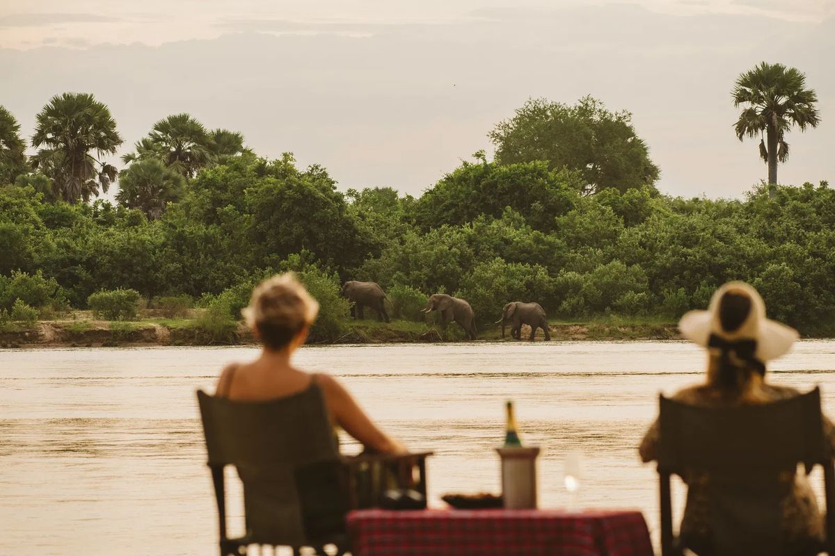 Rufiji elephants