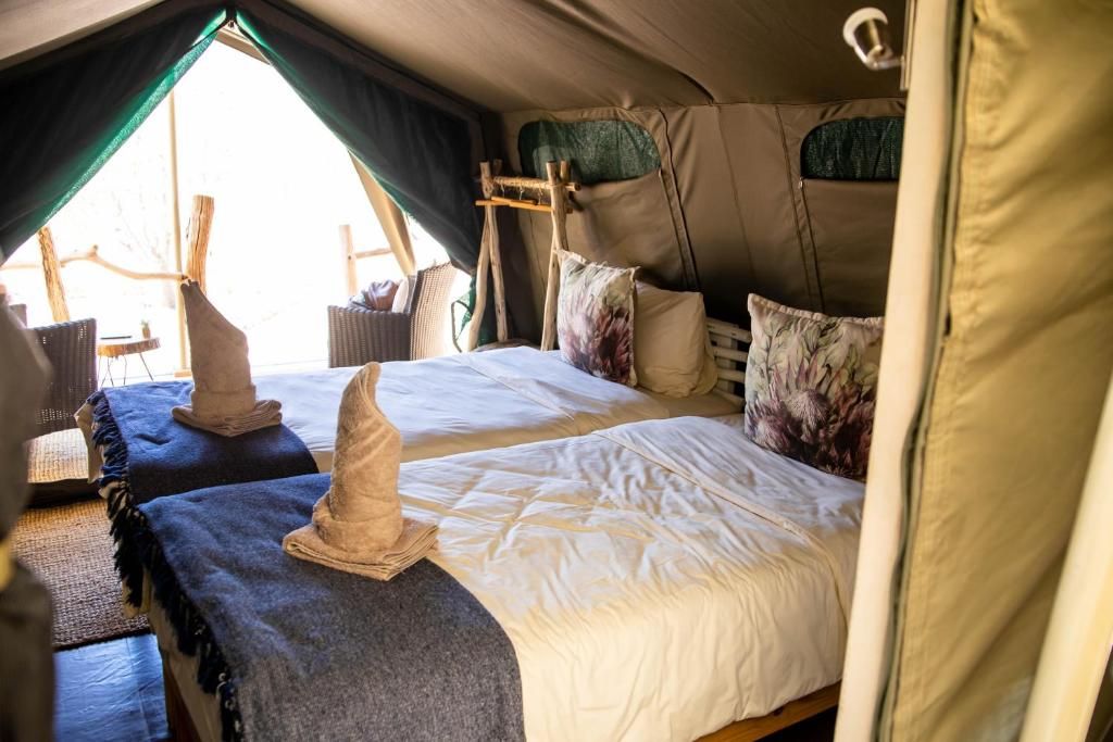 Twyfelfontein Adventure Camp standard tent 1