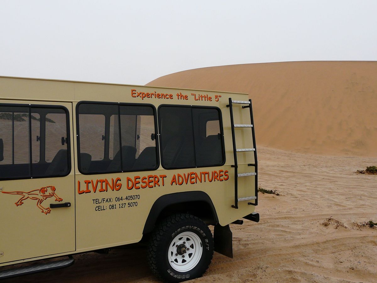 Living Desert Tours