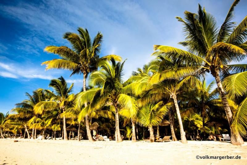 Palmenstrand auf Mauritius