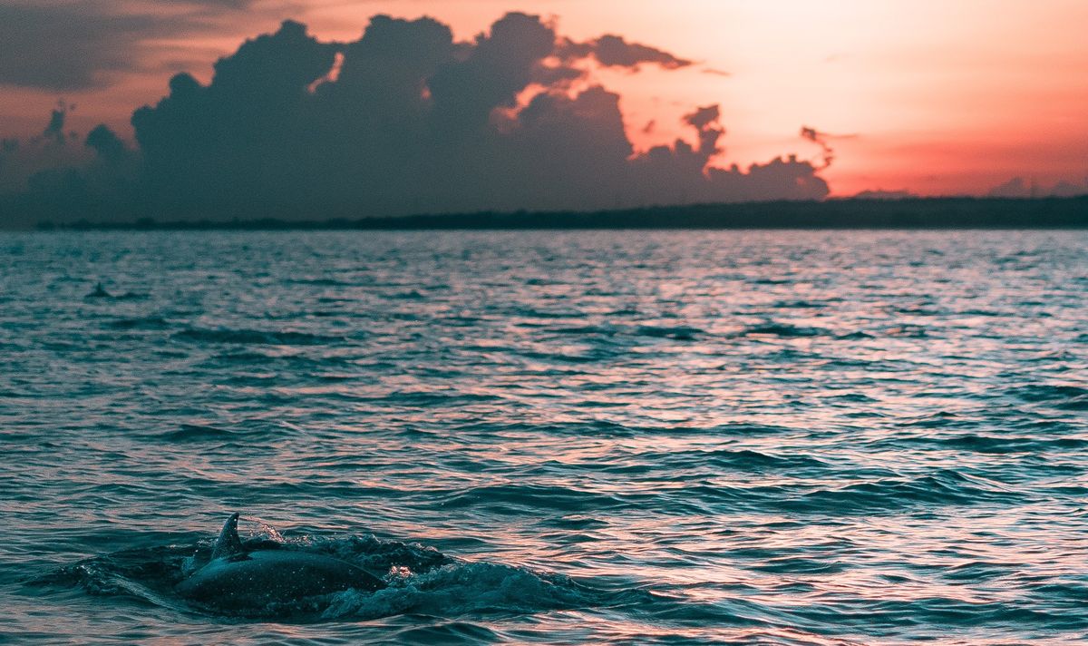 Flitterwochen auf der paradiesischen Insel Mauritius
