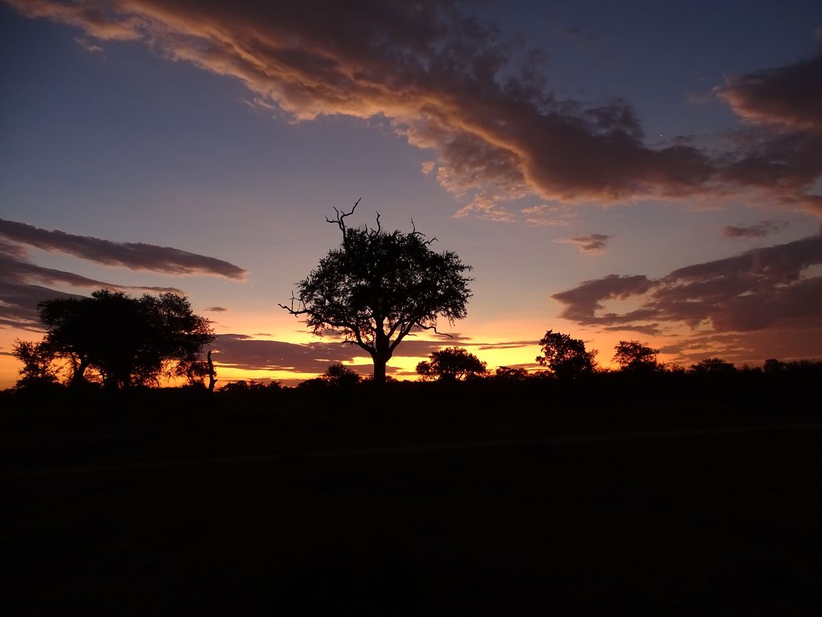 Timbavati sunset