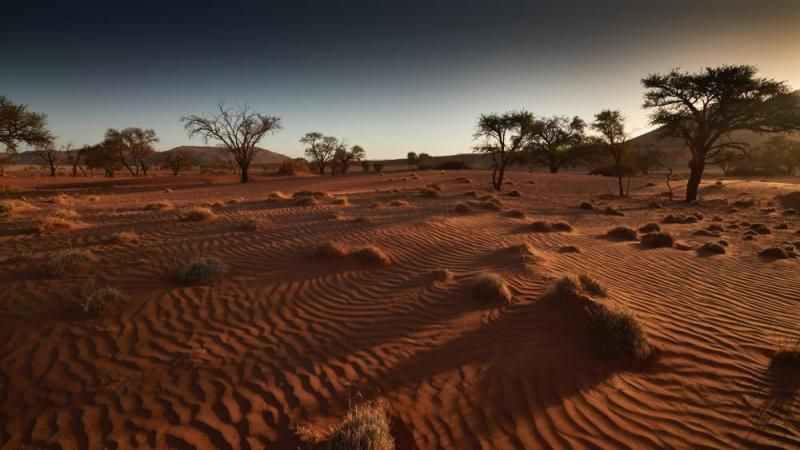 Gewellte Sanddünen bei Sonnenuntergang