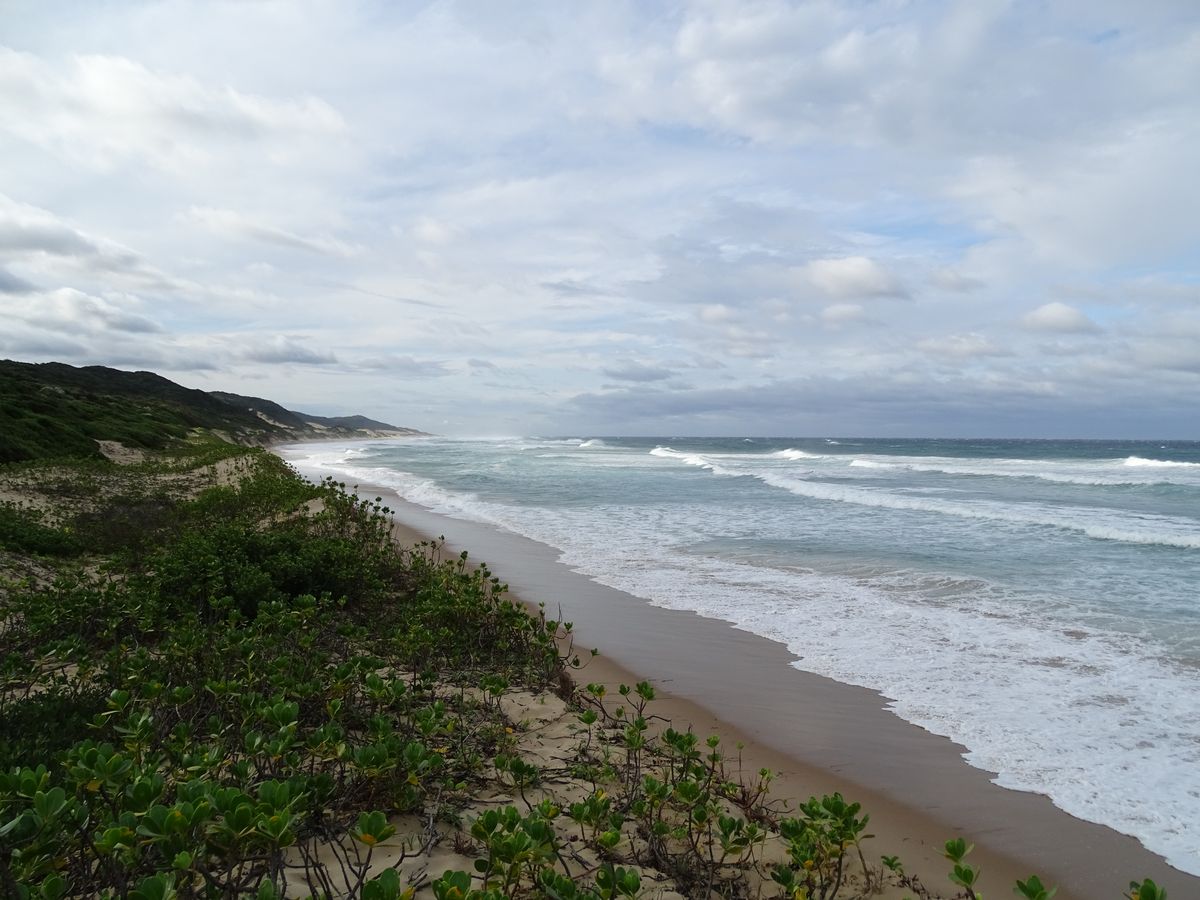 Maputaland coastline