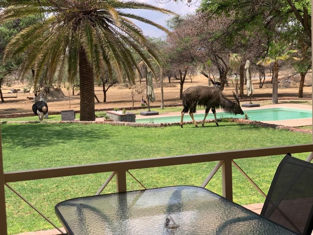 Otjibamba Safari Lodge pool