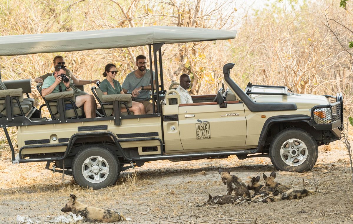Savuti Safari Lodge game drive