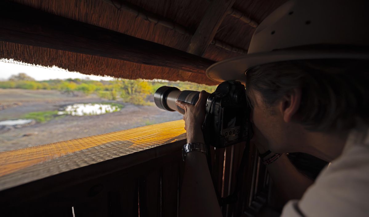 Mashatu Tented Camp hide