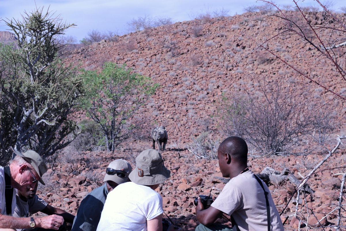 Grootberg Lodge rhino tracking