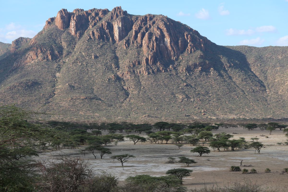 Samburu Mountain