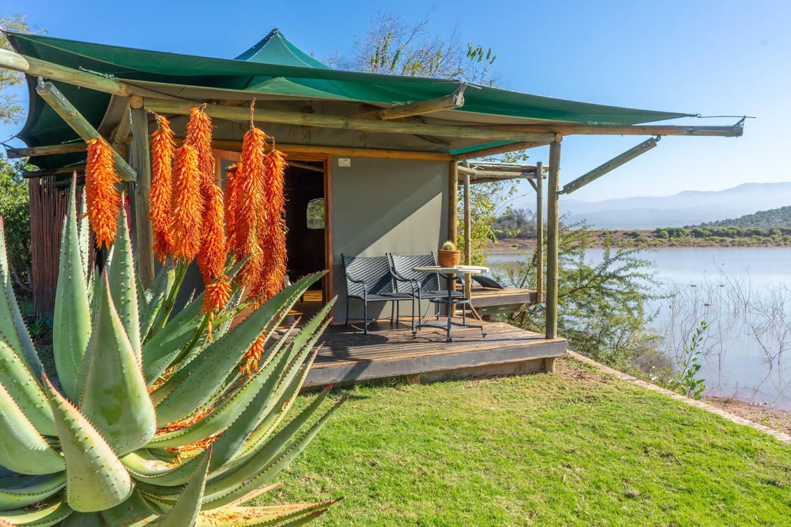 Buffelsdrift Game Lodge waterhole chalet