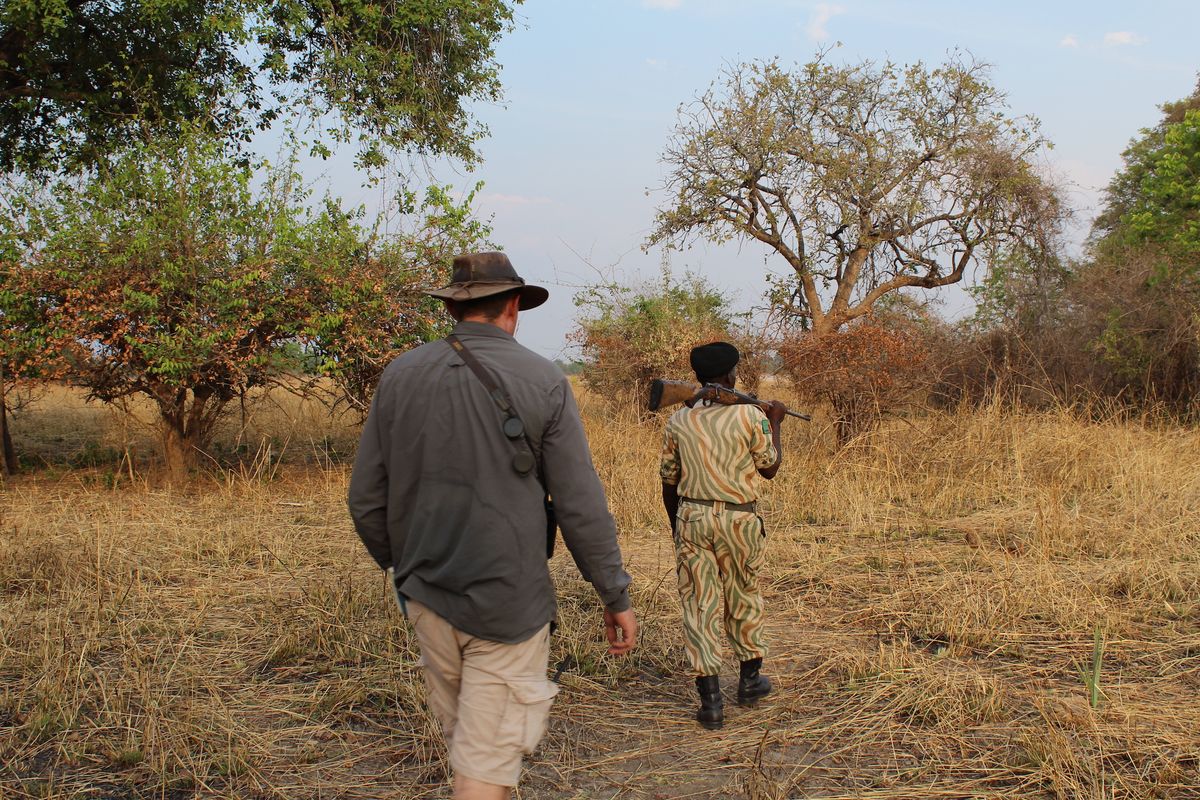 Safari-Experten fahren nach Sambia