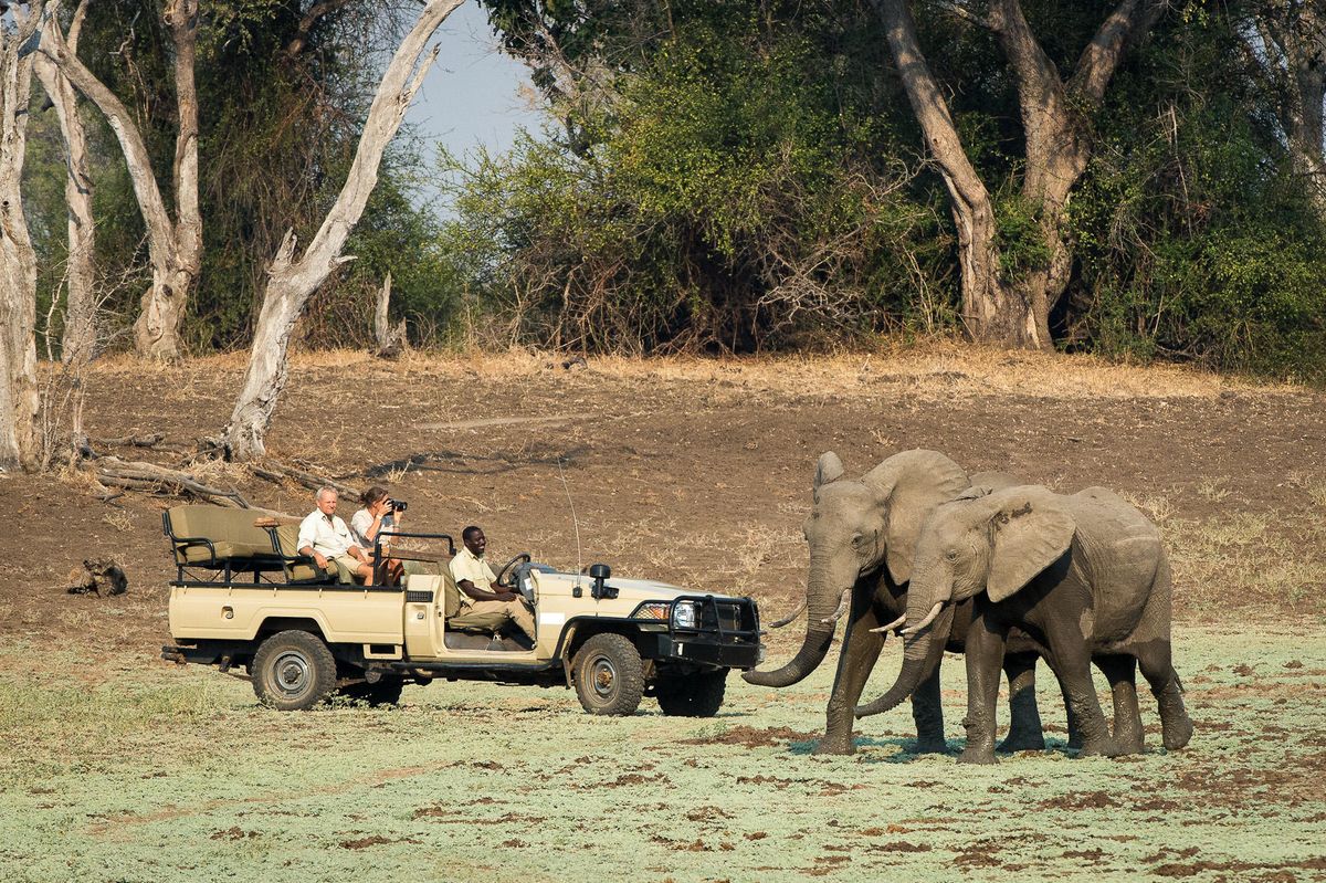 Nsefu game drive and elephants