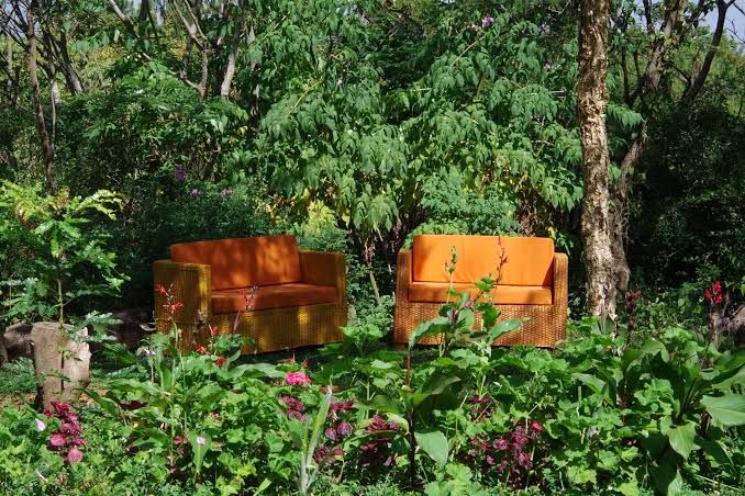 Zomba Forest Lodge garden