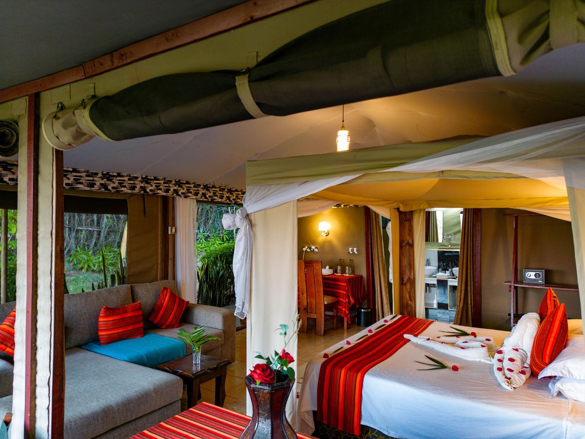 Zebra Plains Mara room