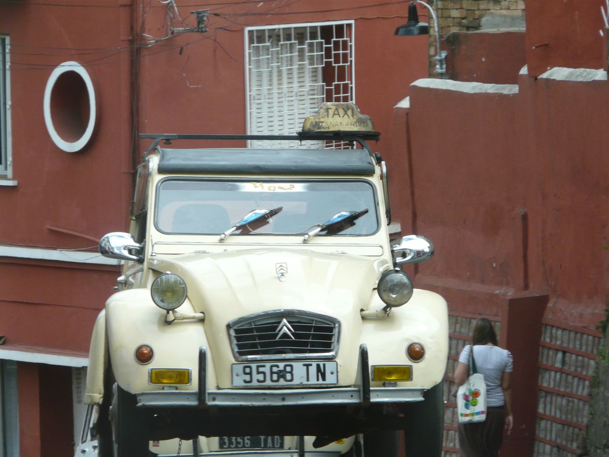 Tana cars