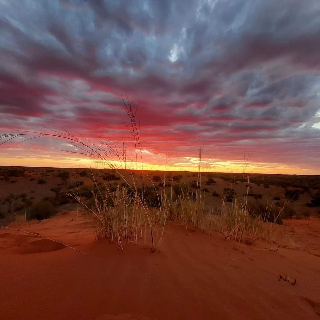 Torgos Lodge sunset