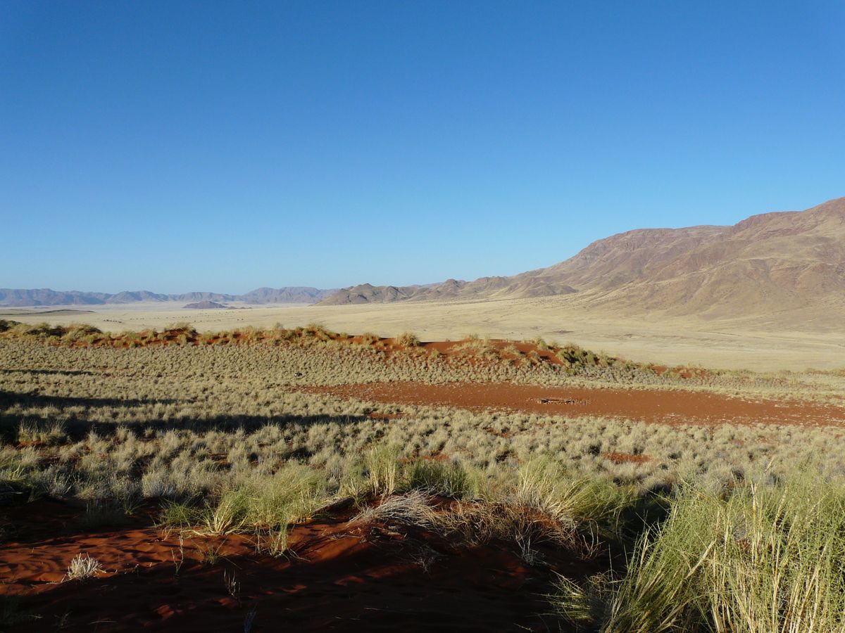 Namib Rand landscape