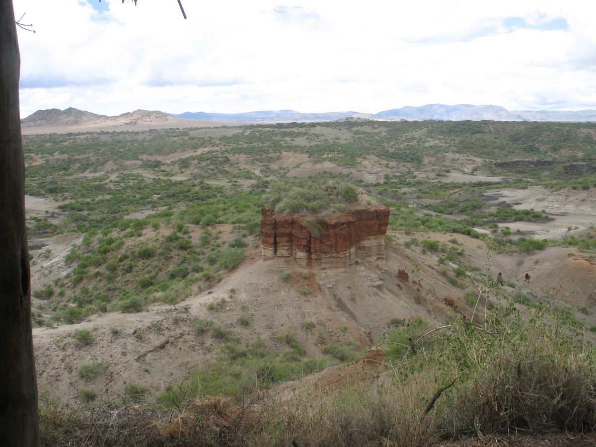 Olduvai Schlucht