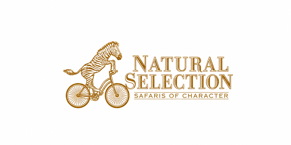 Natural Selection