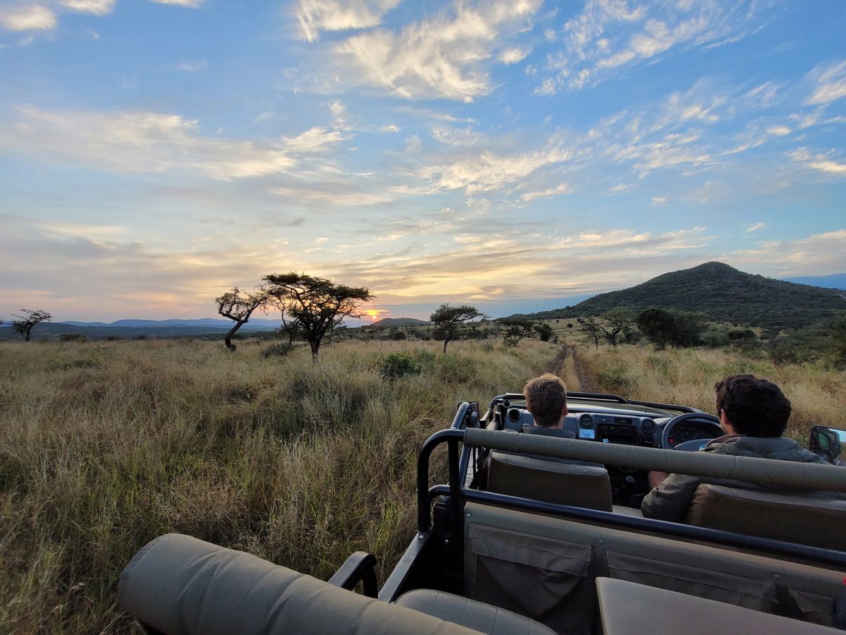 Game Drive Leopard Mountain