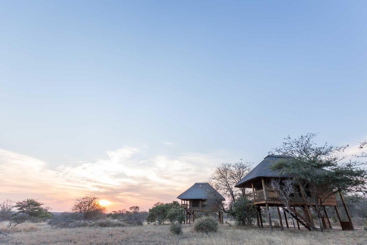 nThambo Tree Camp area