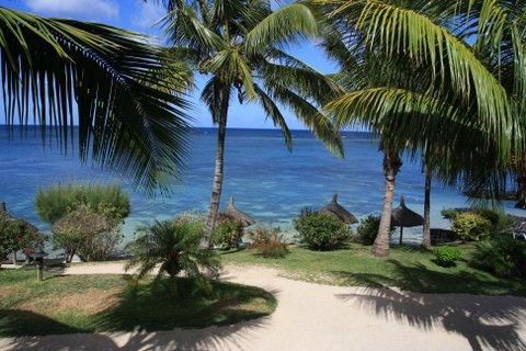 Lagune mit Palmen auf Mauritius