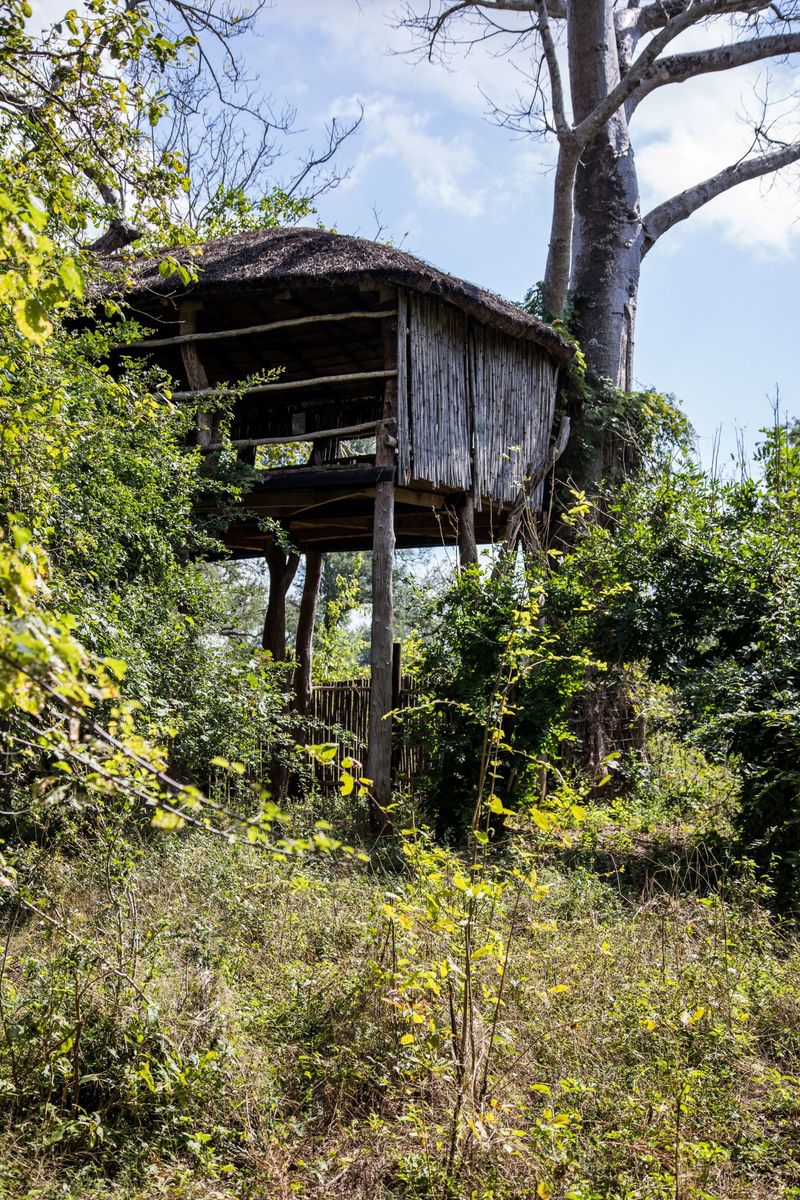 Mkulumadzi Lodge hide