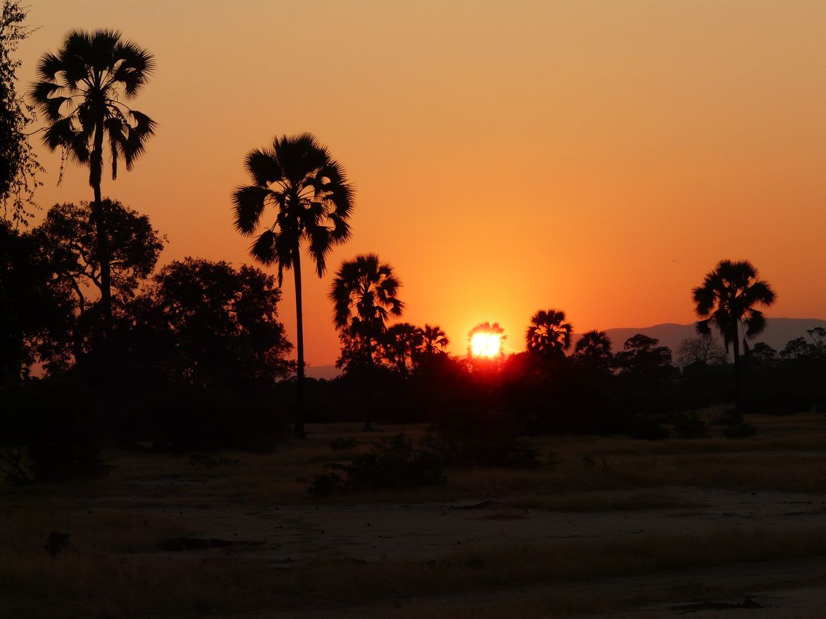 Mana Pools sunset