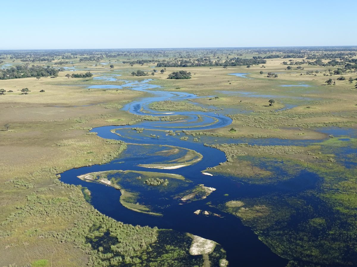 Okavango Delta