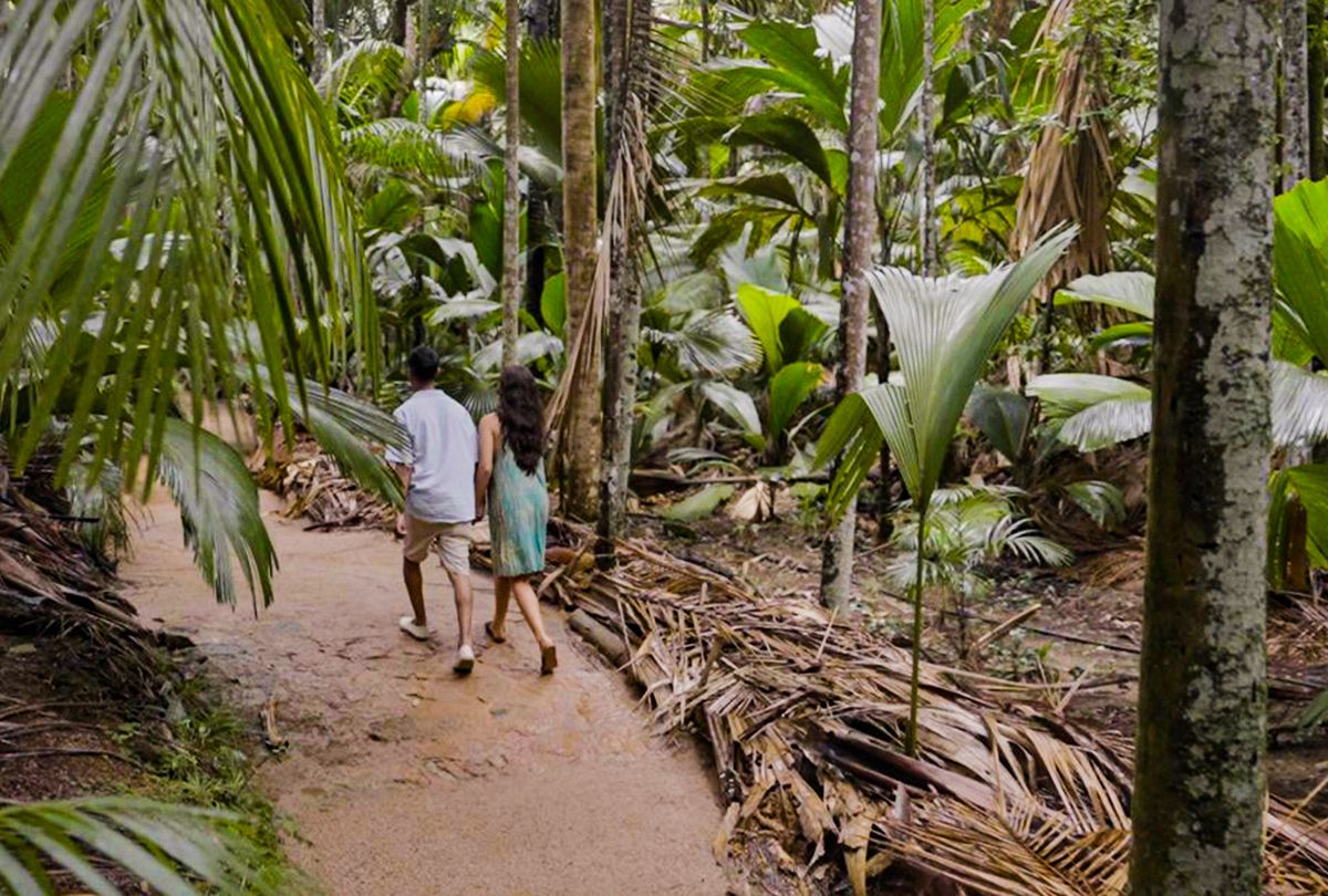 Seychelles Praslin vallee de mai