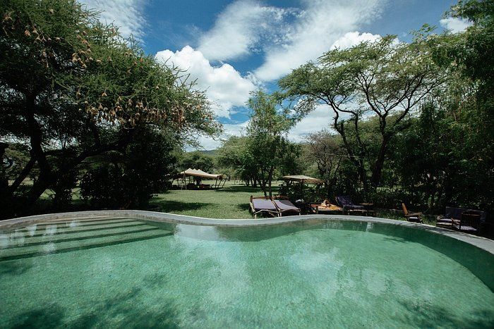 Maasai Giraffe Eco Lodge pool