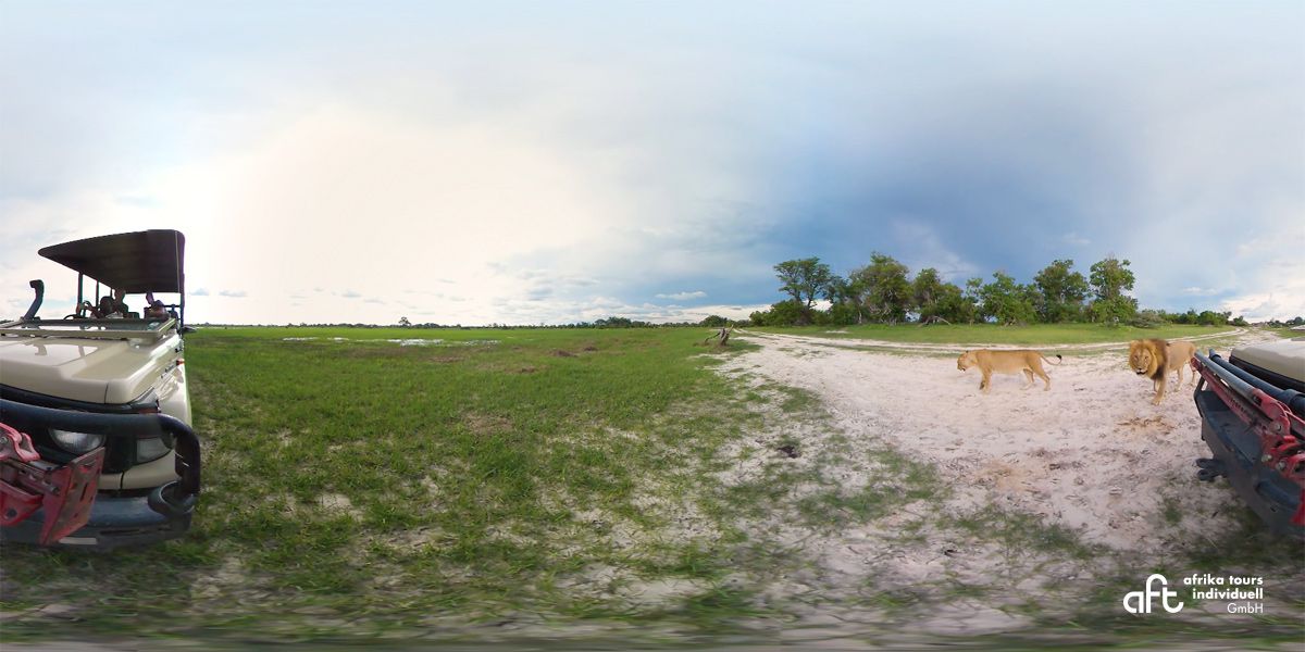 Green Season in Botswana – Regenzeit ist Reisezeit