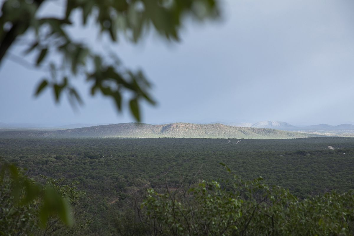 Bambatsi view