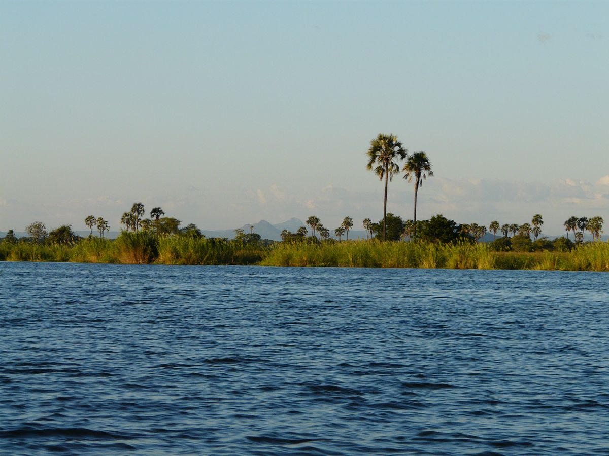 Liwonde shire river