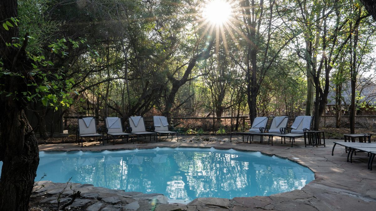 Mashatu Tented Camp pool