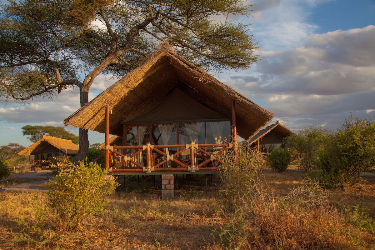 Tarangire Simba Lodge