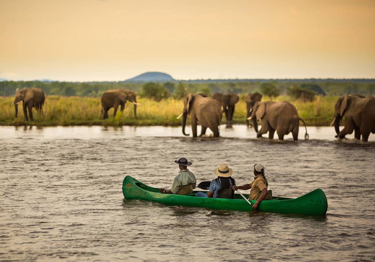 Lower Zambezi canoeing