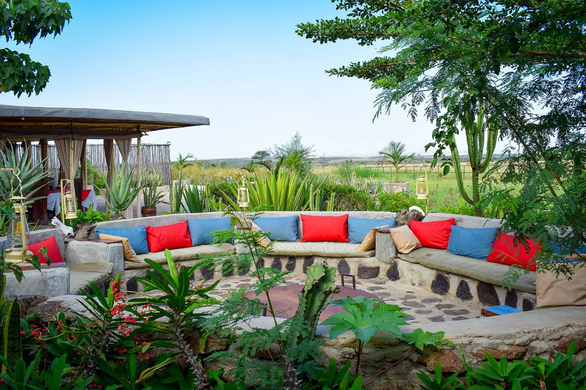 Zebra Plains Mara fireplace