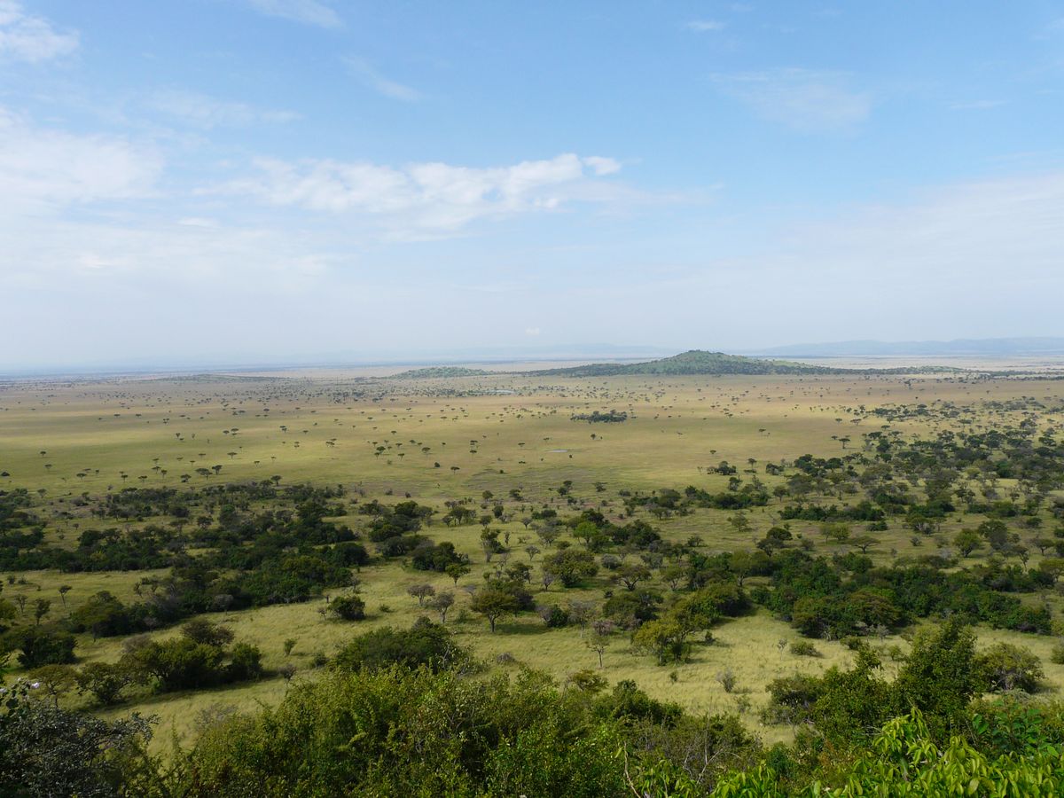 Grumeti landscape