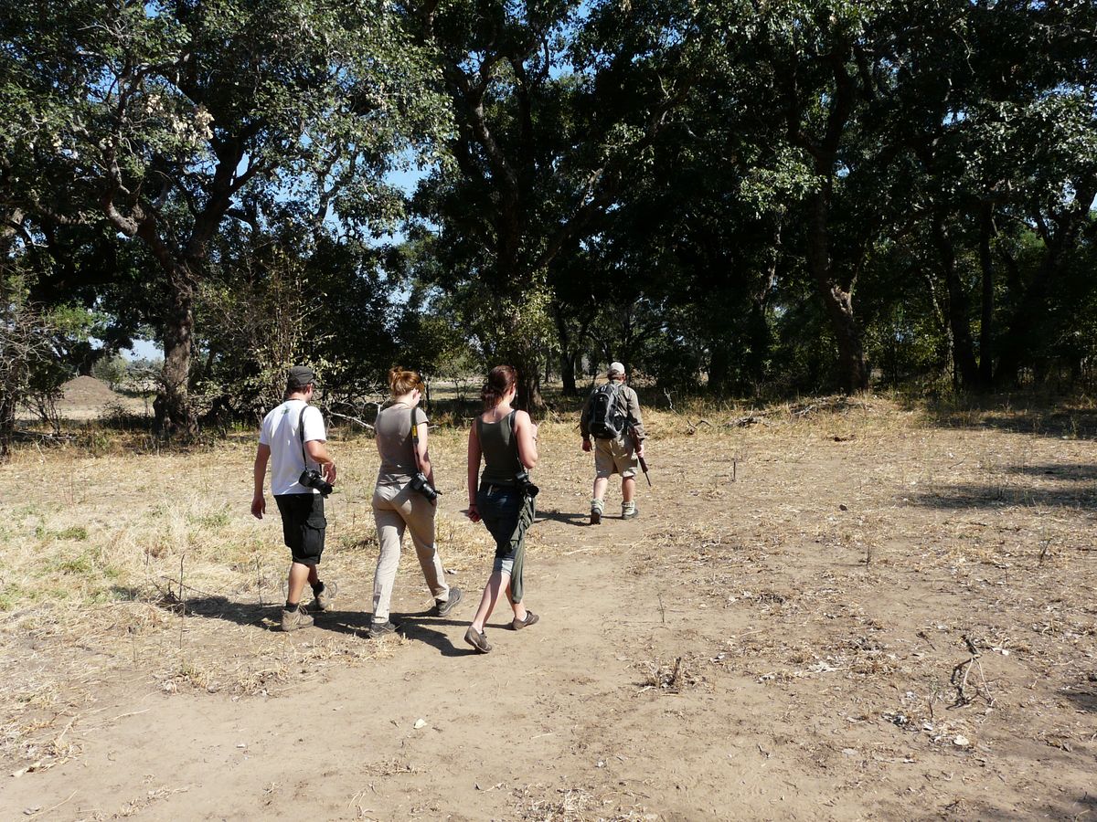 Mana Pools walking safari