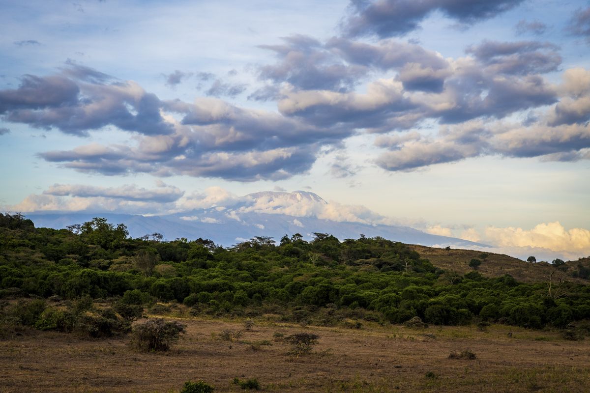Arusha Park Kili view