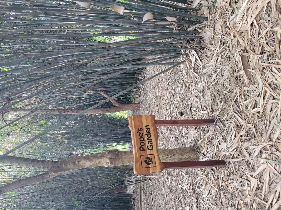 Kigali botanical garden