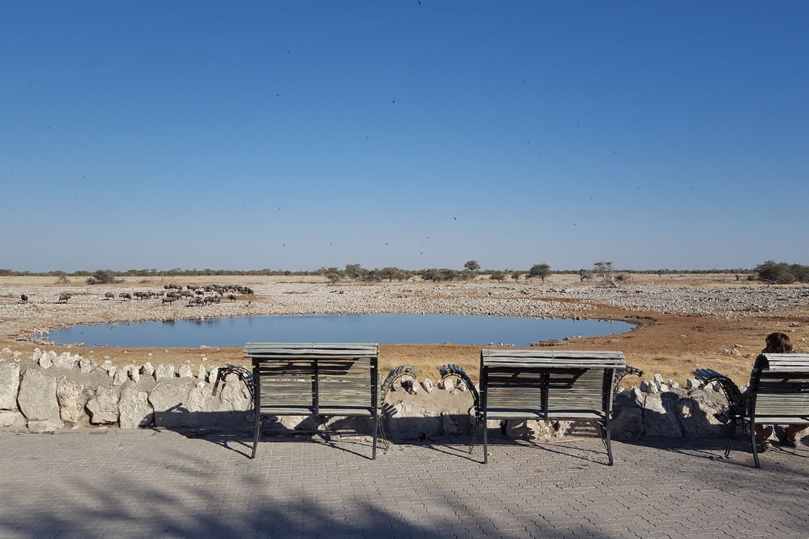 Okaukuejo waterhole