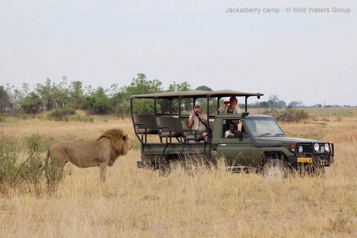 Jackalberry Tented Camp game drive