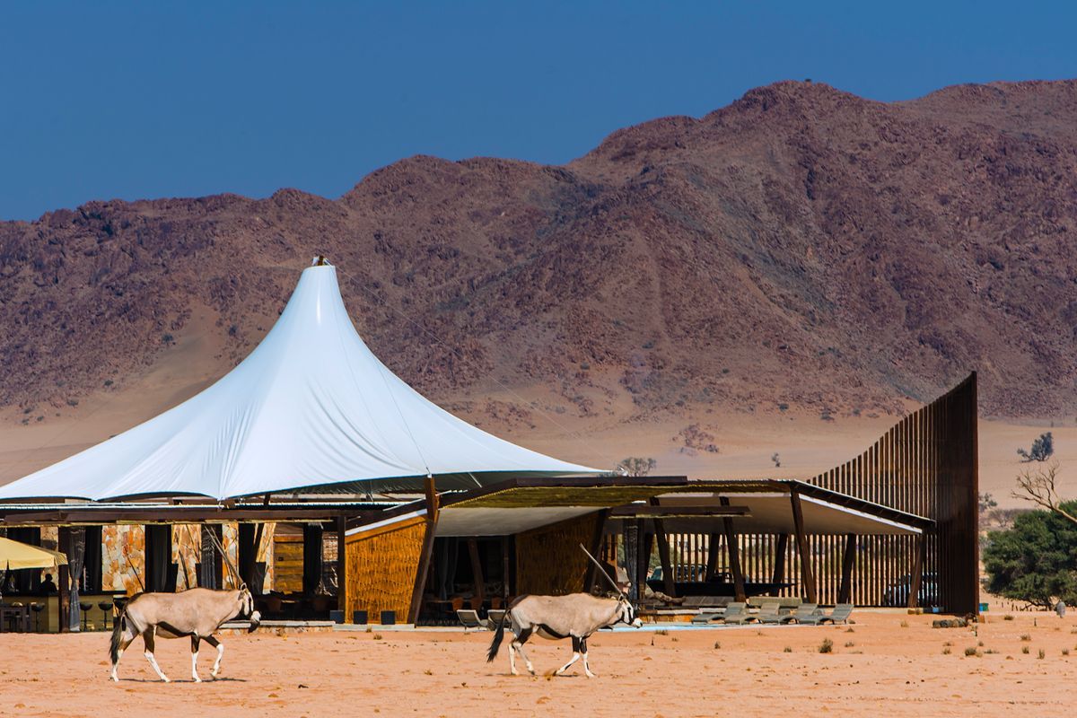 Dead Valley Lodge oryx