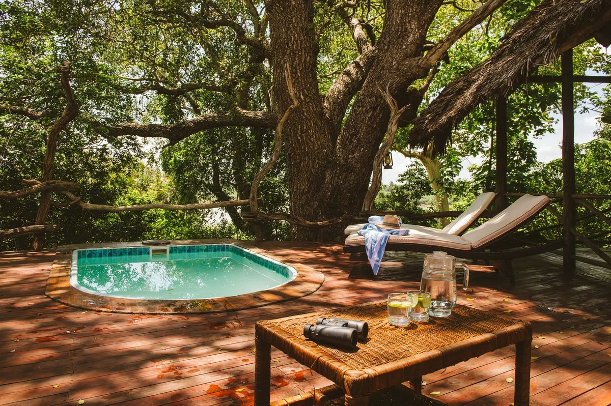 Rufiji plunge pool