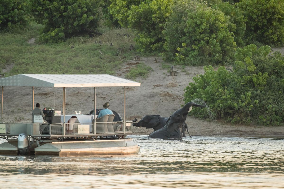 Chobe Game Lodge boat game drive
