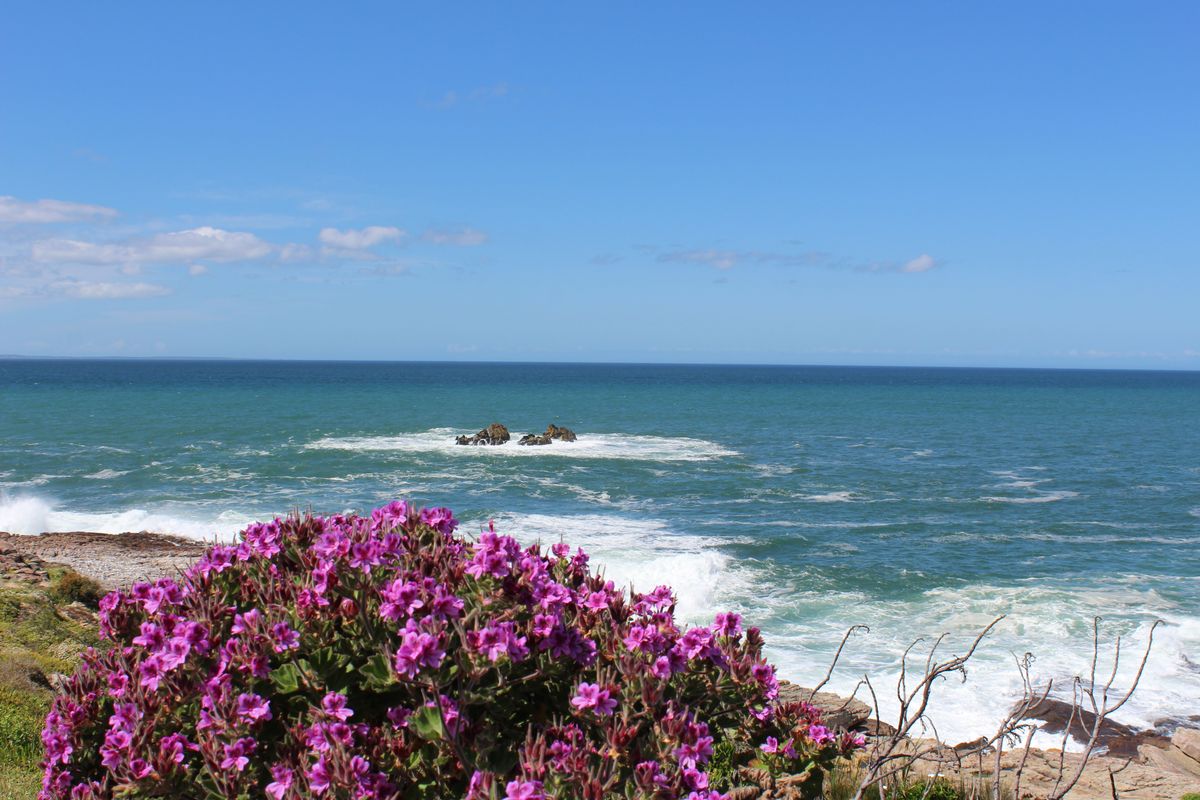 Hermanus
